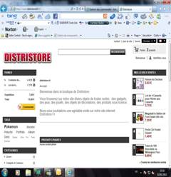pagedistristore.jpg